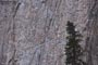 Eighty feet tall trees are no match for the Granite structures of Yosemite. There is something about Yosemite that keeps me going back again and again.