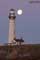 Full Moonset over Pigeon Point Lighthouse.